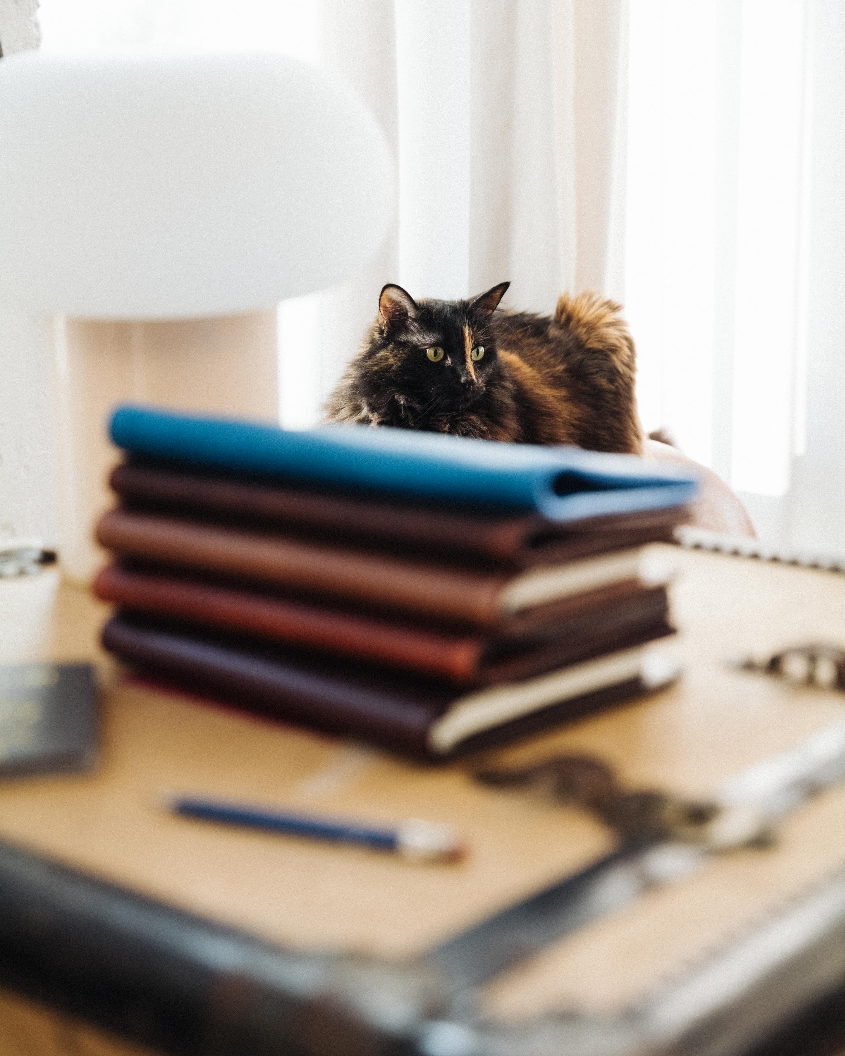 Cypress Notebook Cover