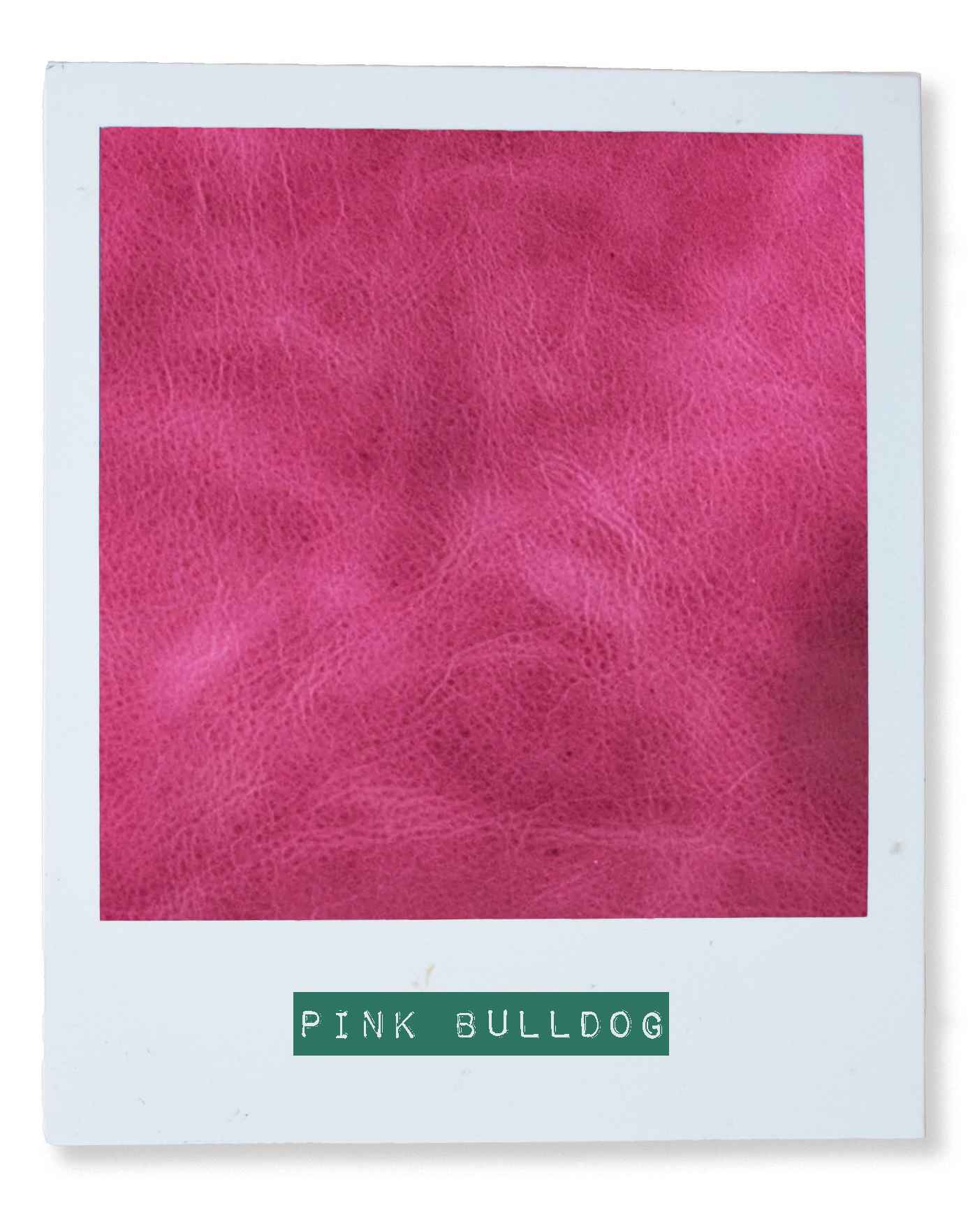 Pink Bulldog Mini Zip-Top Bucket Bag