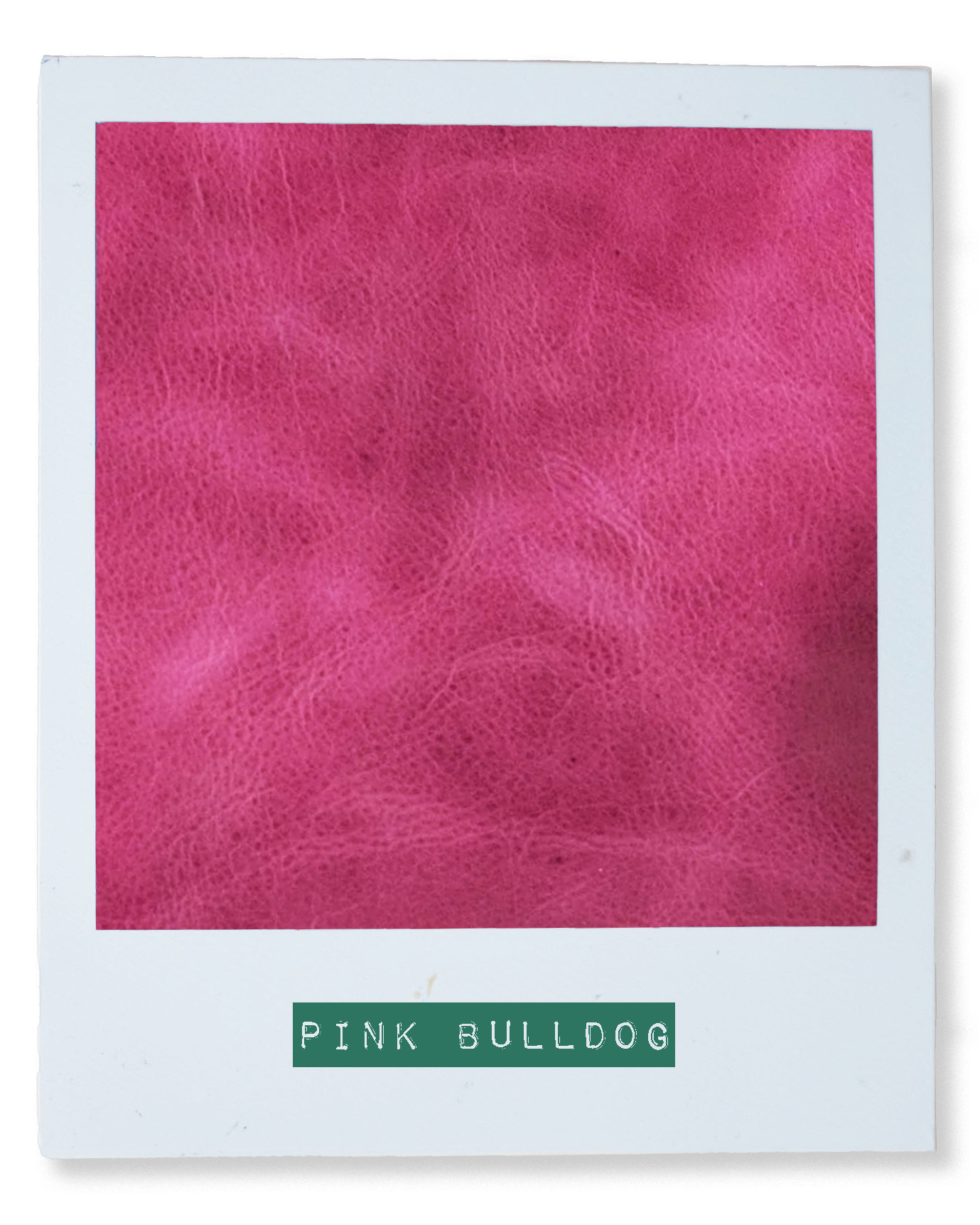 Pink Bulldog Mini Zip-Top Bucket Bag