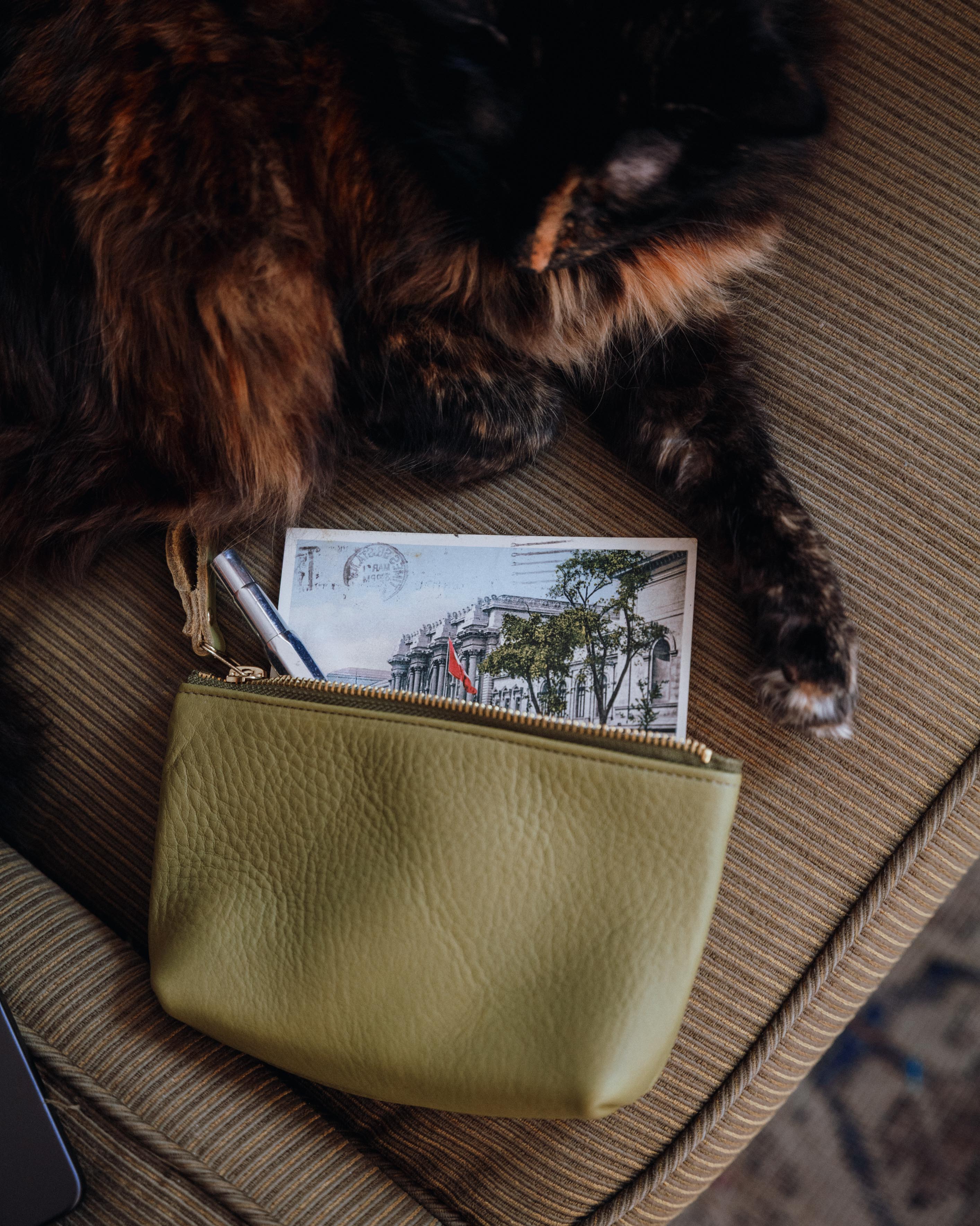 Dearborn Small Cosmetic Case