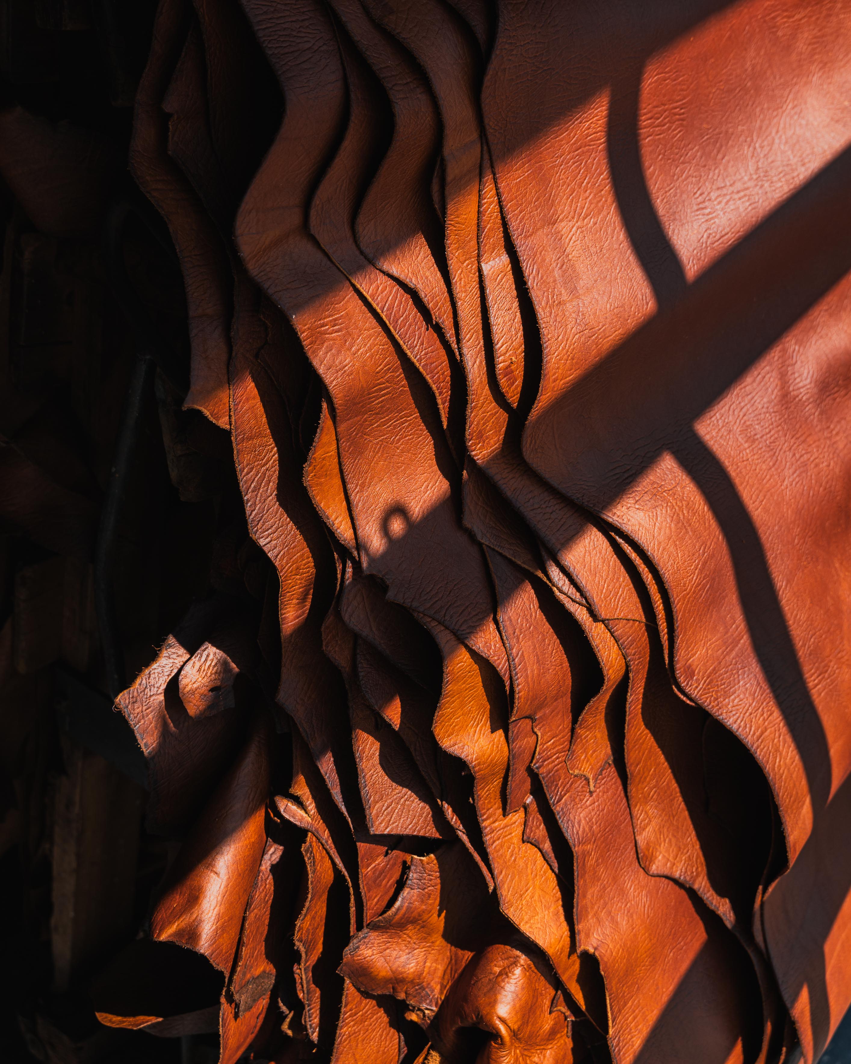 Tan Bison Passport Wallet