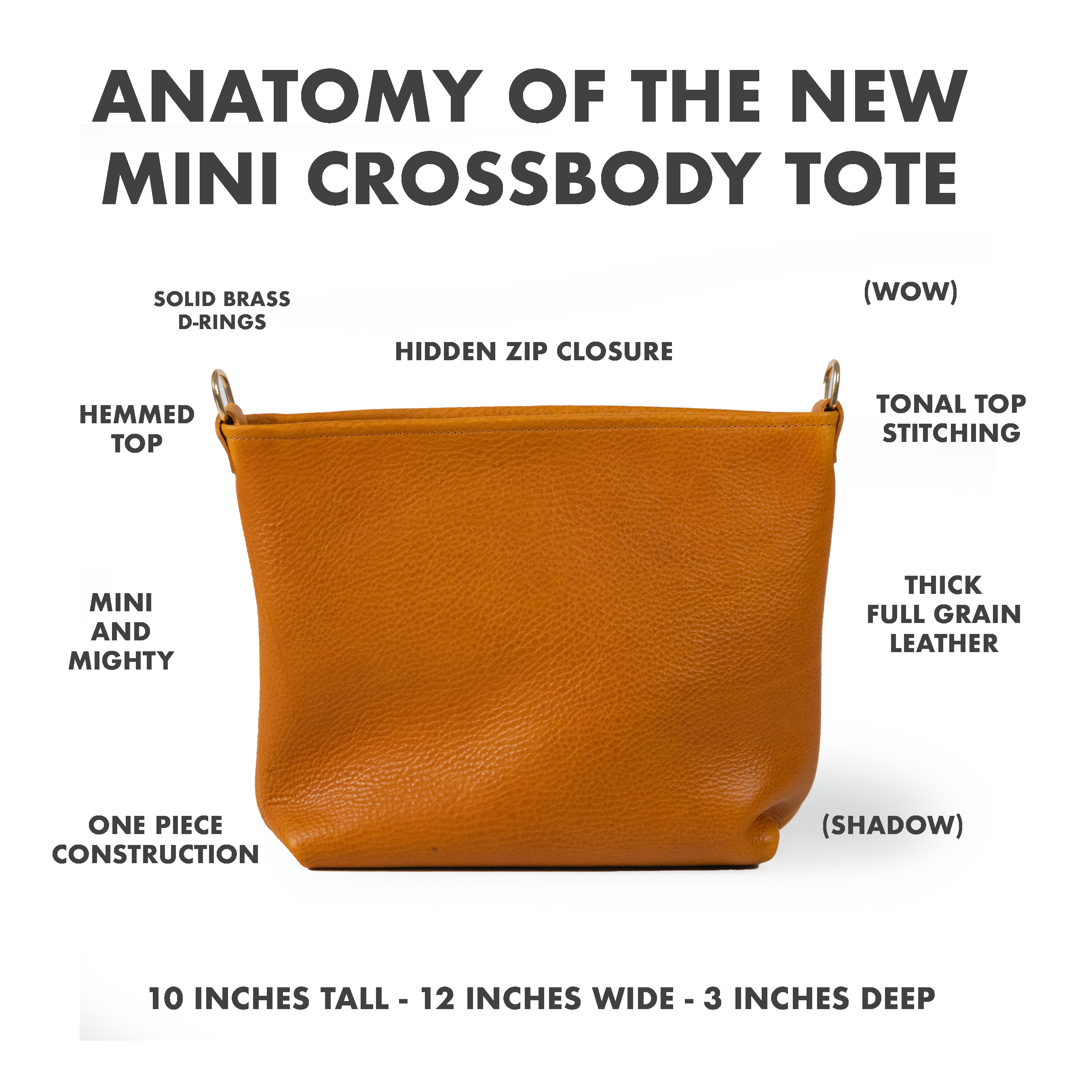 New Mini Crossbody Tote