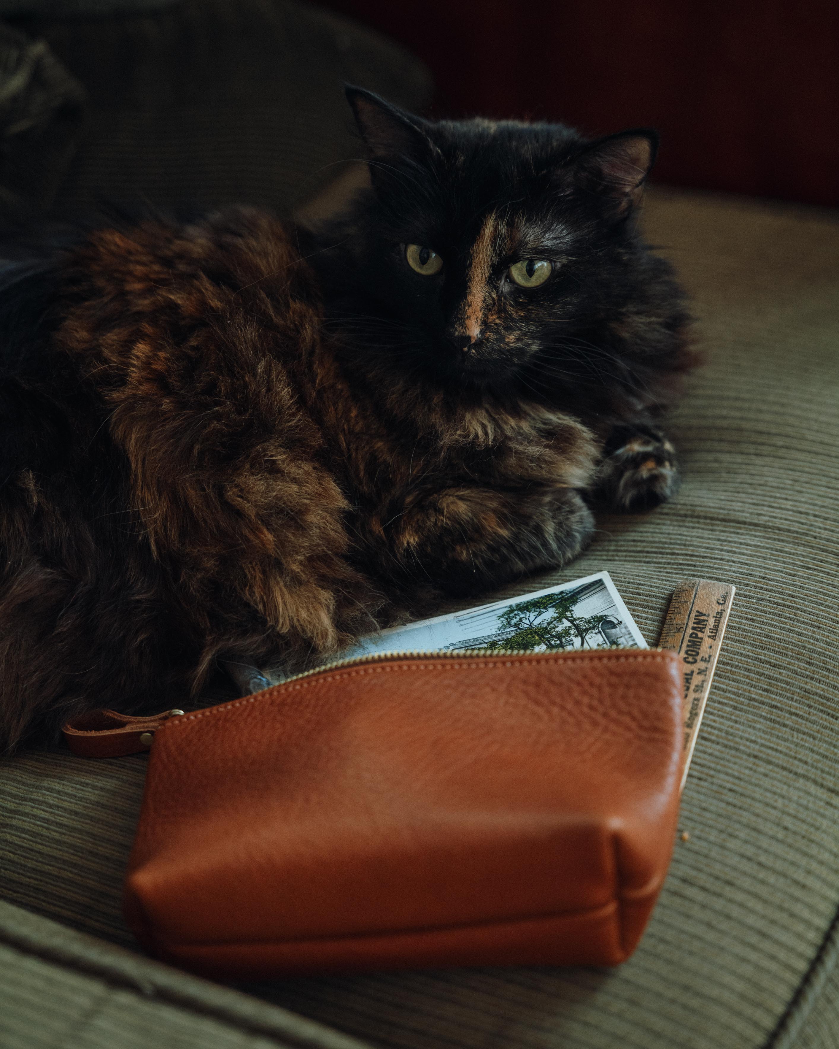 Dearborn Small Cosmetic Case