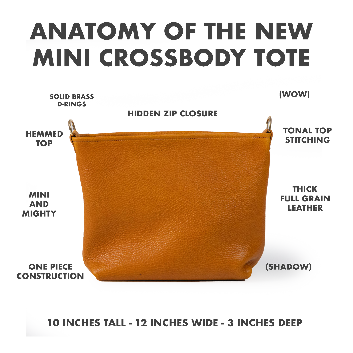 New Mini Crossbody Tote